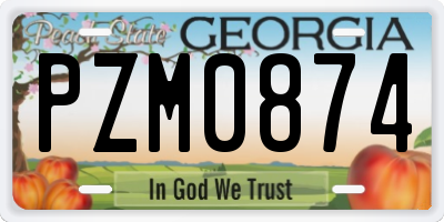 GA license plate PZM0874