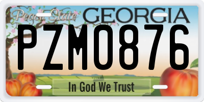 GA license plate PZM0876