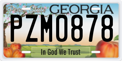 GA license plate PZM0878