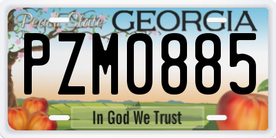 GA license plate PZM0885
