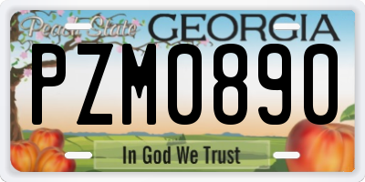 GA license plate PZM0890