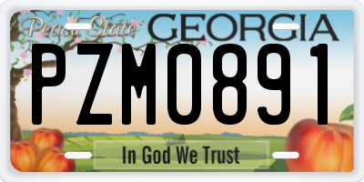 GA license plate PZM0891
