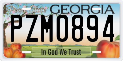 GA license plate PZM0894