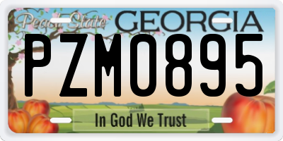 GA license plate PZM0895