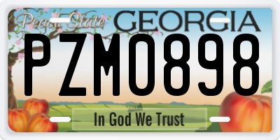 GA license plate PZM0898