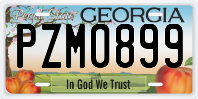 GA license plate PZM0899