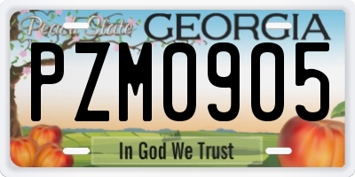 GA license plate PZM0905