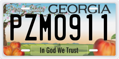 GA license plate PZM0911