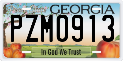 GA license plate PZM0913