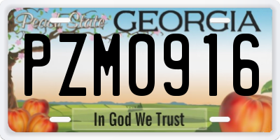 GA license plate PZM0916
