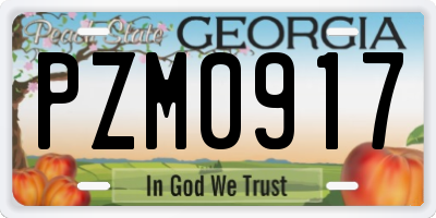 GA license plate PZM0917