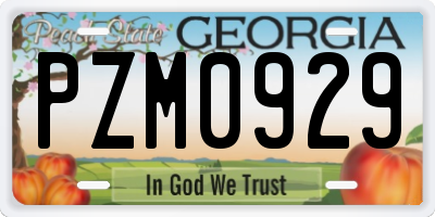 GA license plate PZM0929