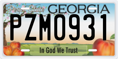 GA license plate PZM0931