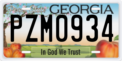GA license plate PZM0934