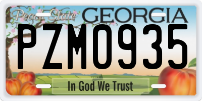 GA license plate PZM0935