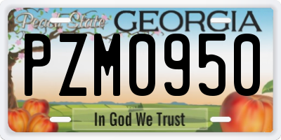 GA license plate PZM0950