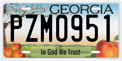 GA license plate PZM0951