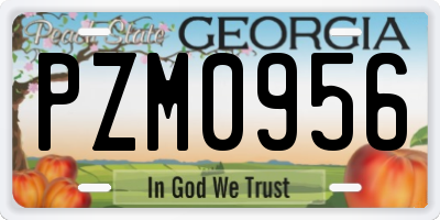 GA license plate PZM0956