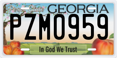 GA license plate PZM0959
