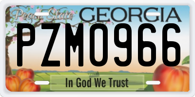GA license plate PZM0966
