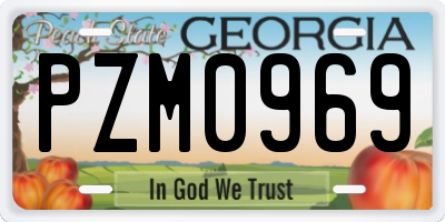 GA license plate PZM0969