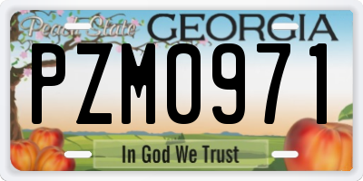 GA license plate PZM0971