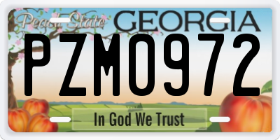 GA license plate PZM0972