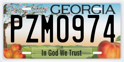 GA license plate PZM0974