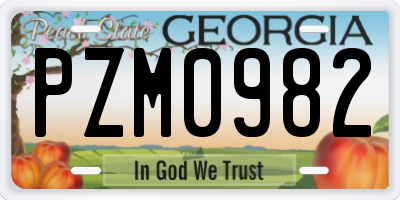 GA license plate PZM0982