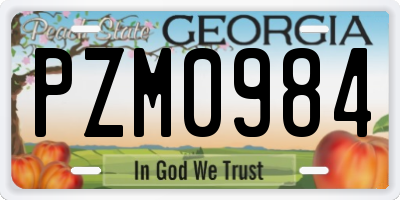 GA license plate PZM0984