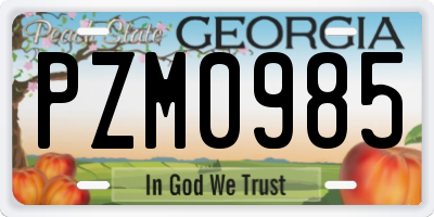GA license plate PZM0985