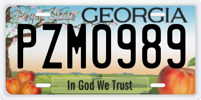 GA license plate PZM0989