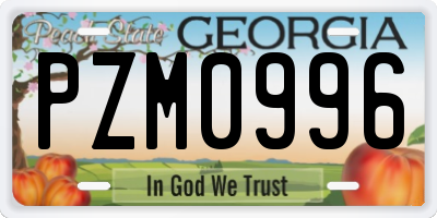 GA license plate PZM0996