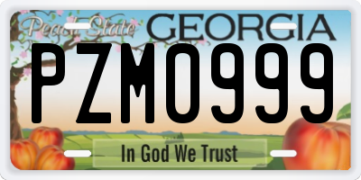GA license plate PZM0999