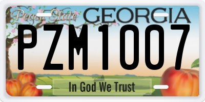 GA license plate PZM1007