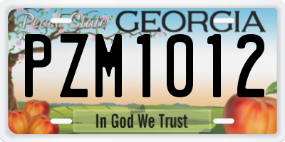 GA license plate PZM1012