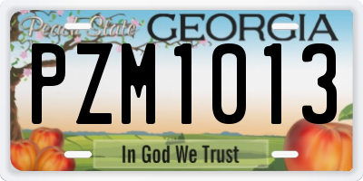 GA license plate PZM1013