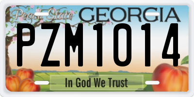 GA license plate PZM1014