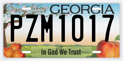GA license plate PZM1017