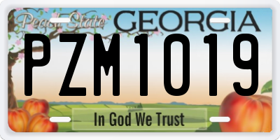 GA license plate PZM1019