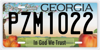 GA license plate PZM1022