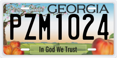 GA license plate PZM1024