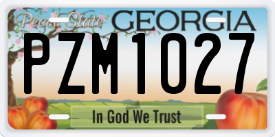 GA license plate PZM1027