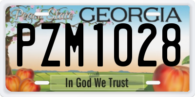 GA license plate PZM1028