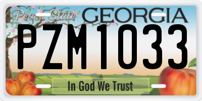 GA license plate PZM1033