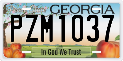 GA license plate PZM1037