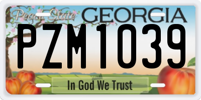 GA license plate PZM1039