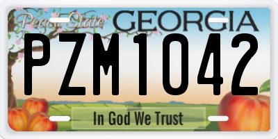 GA license plate PZM1042