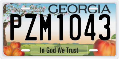GA license plate PZM1043