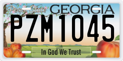 GA license plate PZM1045